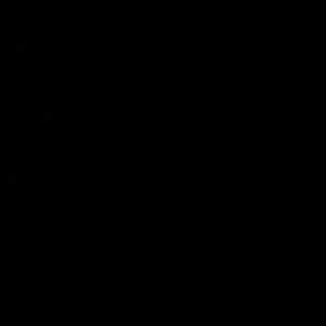 Meet your Posher, Anaiya